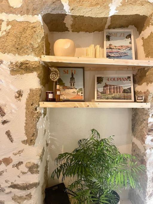 Eden De Thau 1Ere Ligne Apartment Bouzigues Luaran gambar
